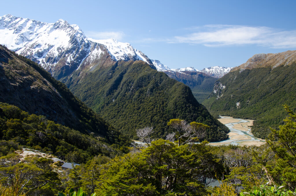 New Zealand Tourist Guide | Discover Top Destinations