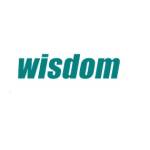 Wisdom Electrical profile picture