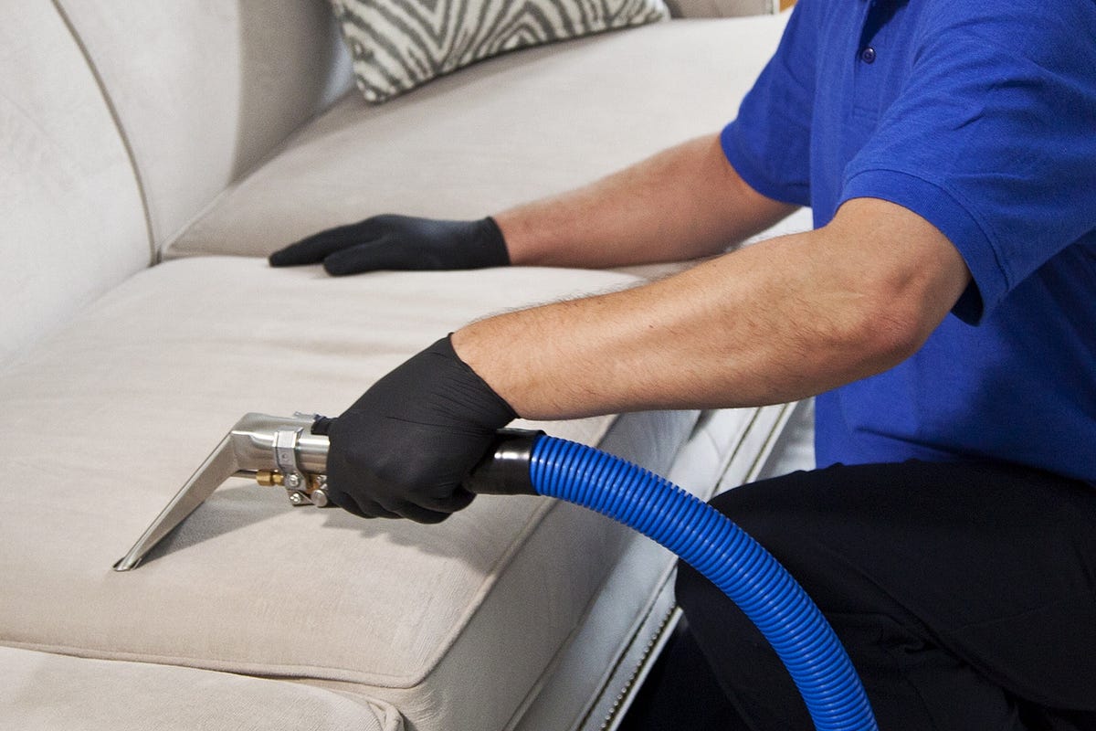 The Ultimate Guide to Upholstery Cleaning in Carlsbad | by Seaside Carpet Cleaning | Sep, 2024 | Medium