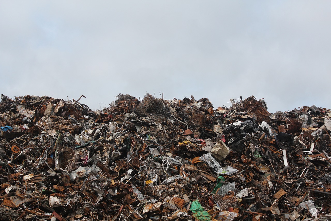 MSW Municipal Solid Waste - Biomass Energions India