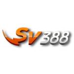 SV388 Yachts Profile Picture