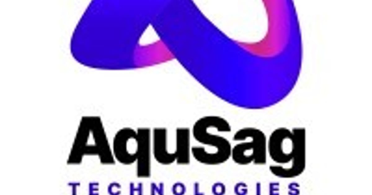 Api Testing Services - United State, AquSag, LLC | about.me