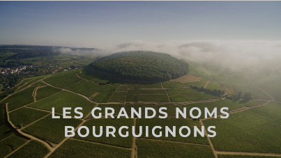 Achetez des vins de Bourgogne d'exception à Dijon : votre guide pour acheter du vin authentique à La Cave du Chaignot