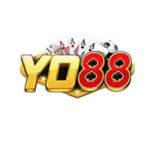 yo88 tours profile picture