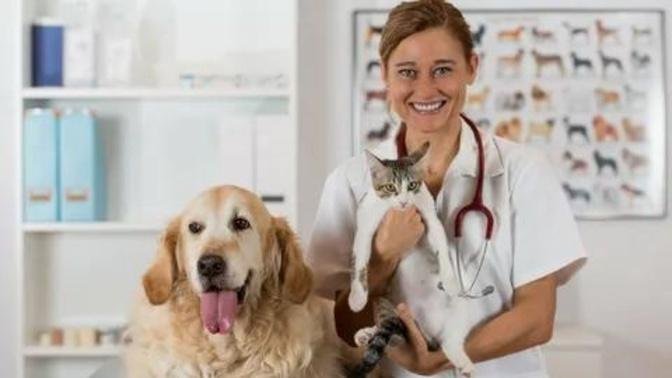 Protecting Your Pet From Ticks! | Articles | Brilliant Veterinary Care | Gan Jing World | Technology for Humanity | Video & Movie Streaming Family-Friendly Gan Jing Campus Protect Kids Online Safety