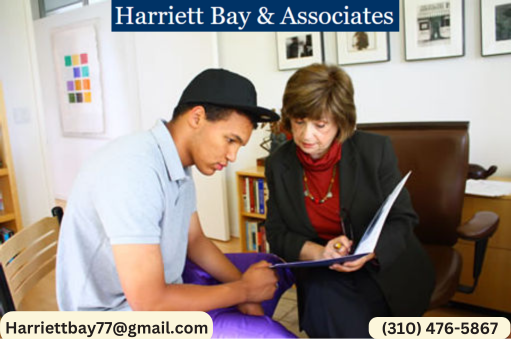 Navigating Educational Placements during Challenging Times: How Harriett Bay & Associates Provides Unwavering Support | by Harriett Bay & Associates | Sep, 2024 | Medium