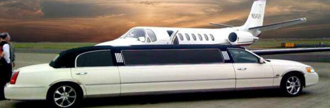 Skyway City Limo Cover Image