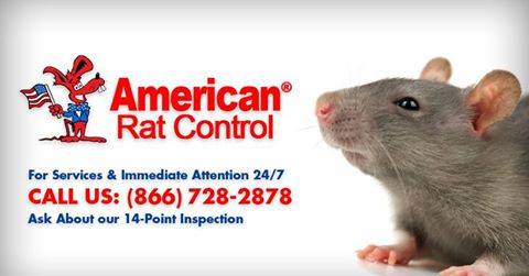 American Rat Control Cover Image