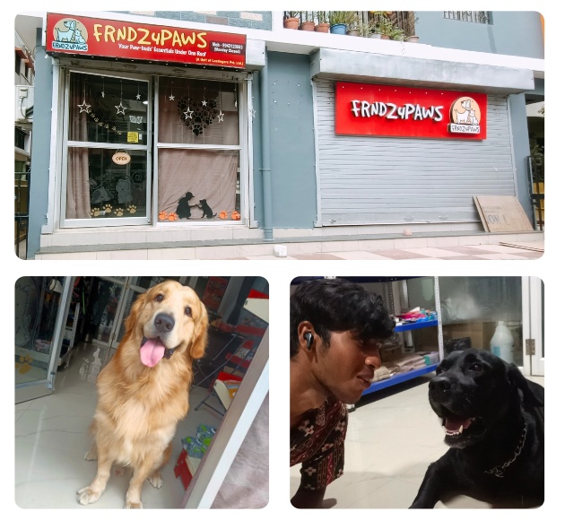 Contact Us for Pet Grooming, Pet Creache Pet Clinic | Frndz4Paws