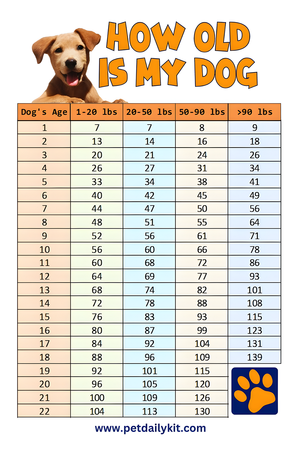 How Dogs Age Compared to Humans| Understanding Dog Age. | Medium