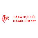 Đá Gà Trực Tiếp Thomo Hôm Nay Profile Picture