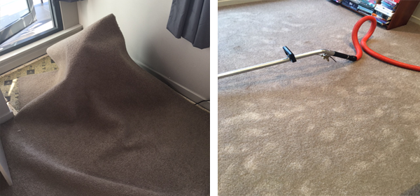 Why is Professional Flood Carpet Cleaning Important?