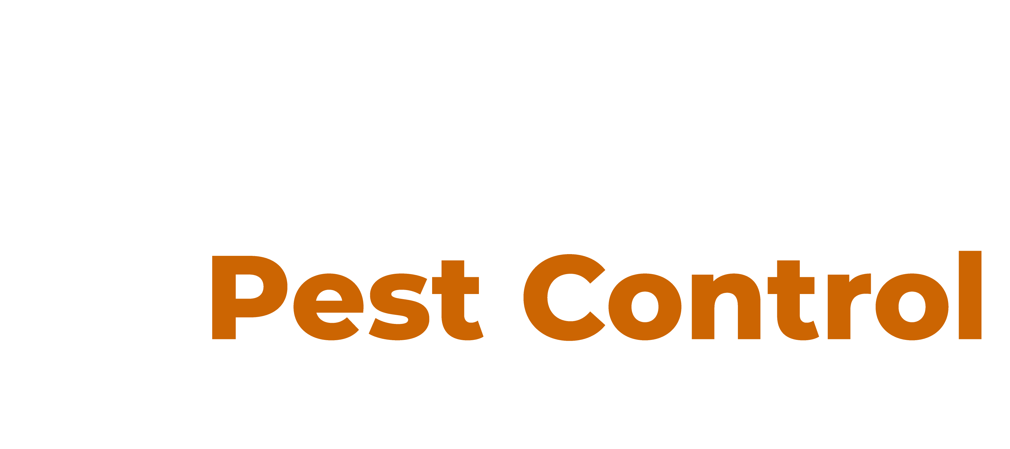 Defend Your Home with Expert Carpenter Ant Extermination by Beacon Pest Control