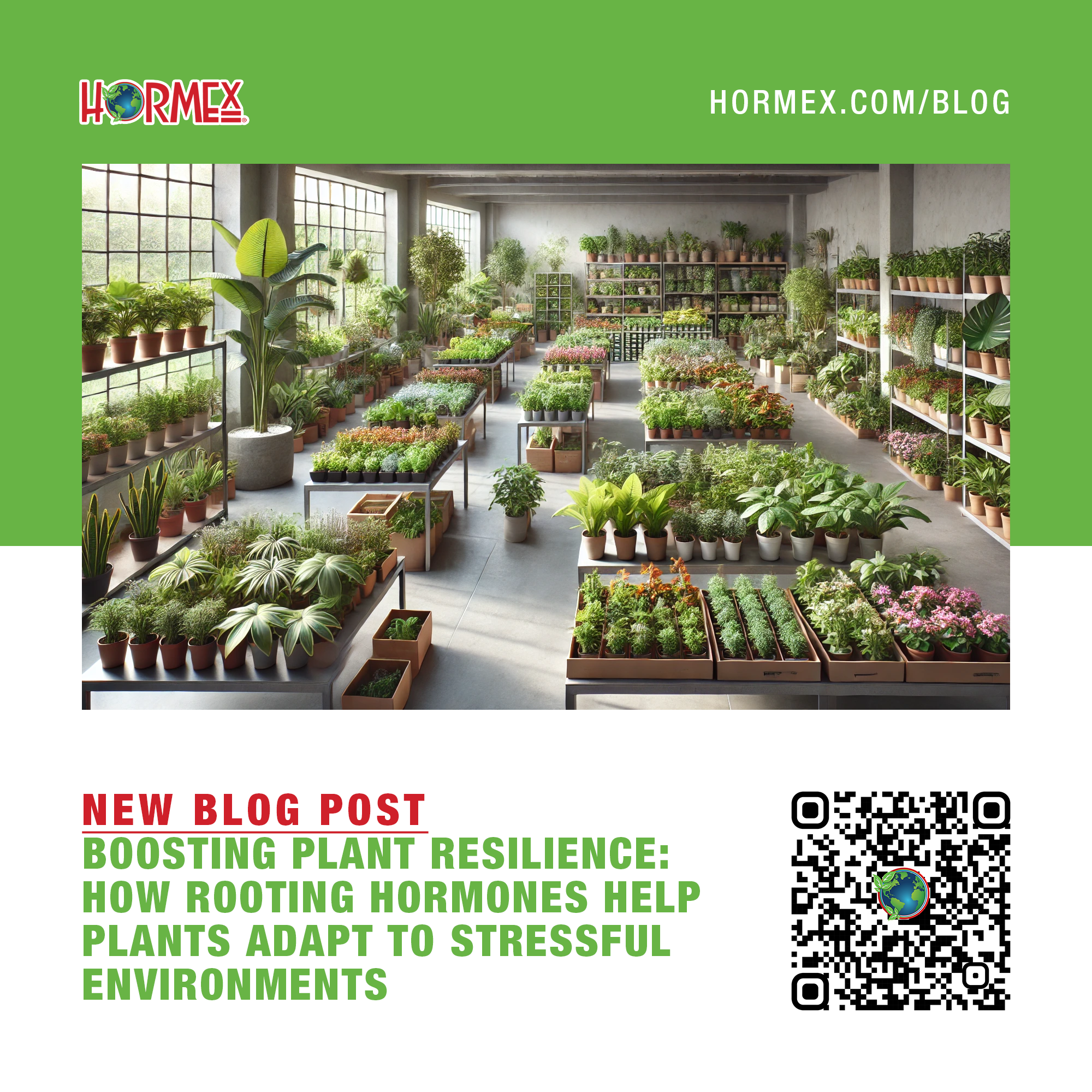 Boosting Plant Resilience: How Rooting Hormones Help Plants                              | HORMEX