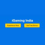 iGaming India profile picture