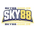 sky 88 Profile Picture