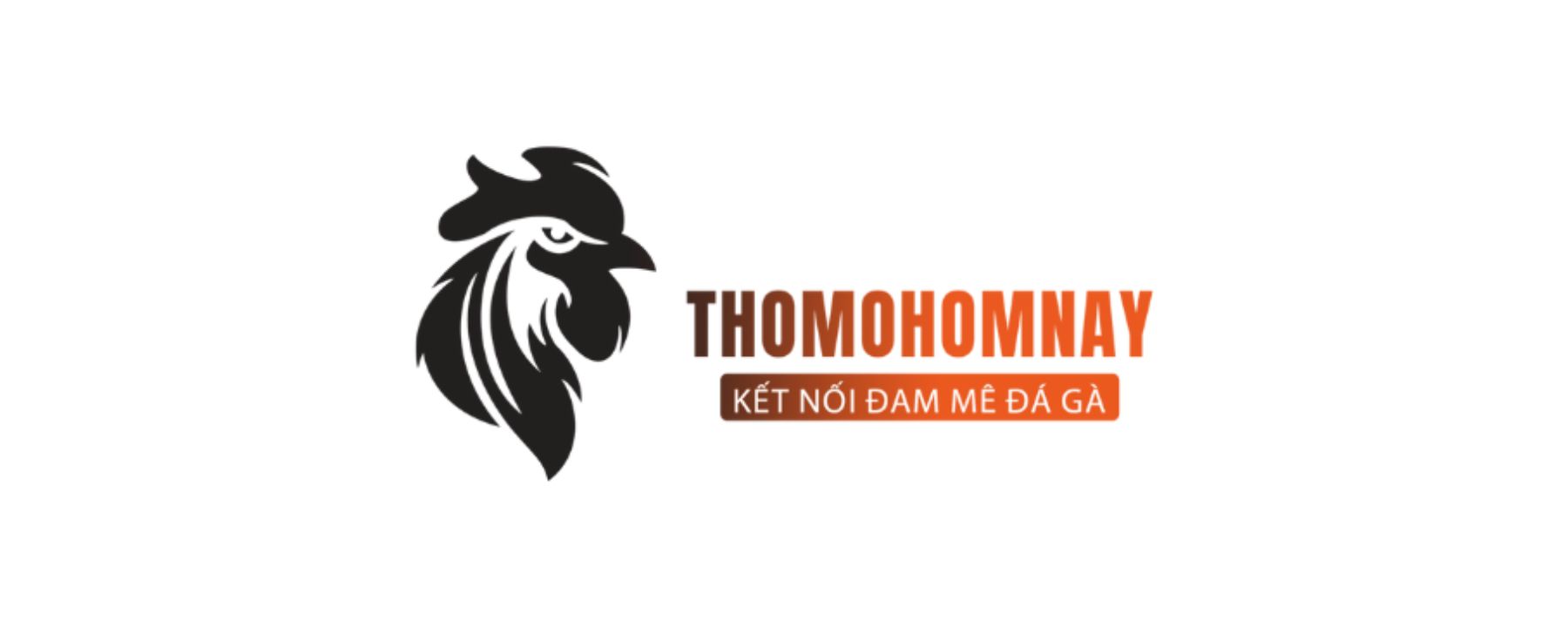 Đá Gà Thomo Hôm Nay Cover Image