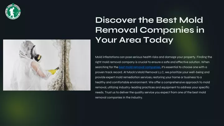 PPT - Discover the Best Mold Removal Companies in Your Area Today PowerPoint Presentation - ID:13615161