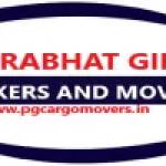 Prabhat Giri Profile Picture