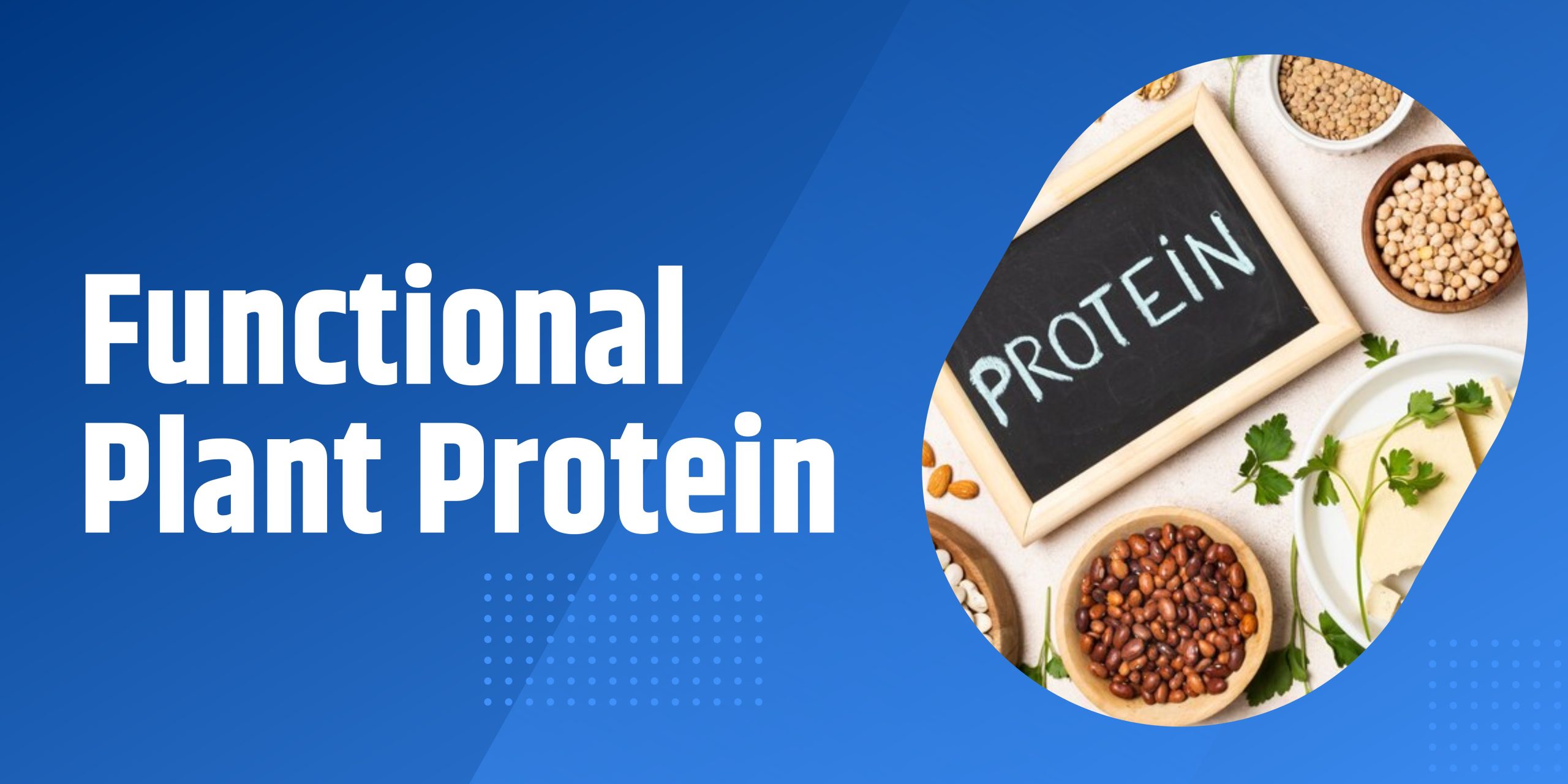 Unlocking the Benefits of functional Plant Protein Powder for Food - The Random Collective