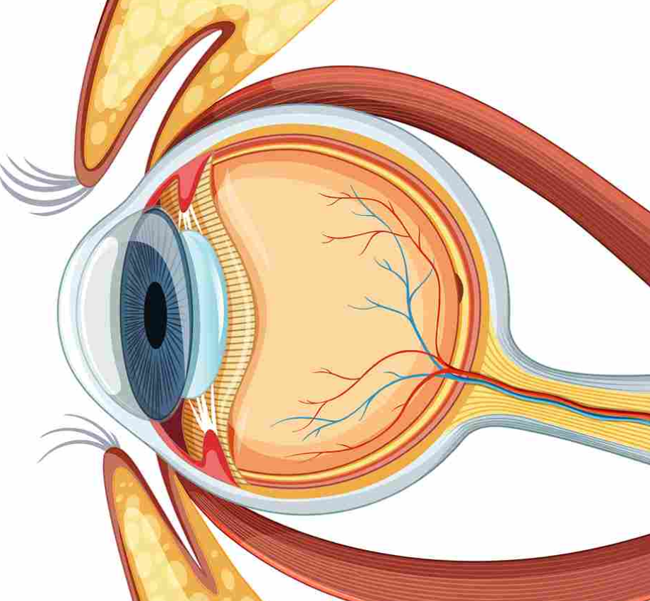 Microincision Cataract Surgery in Dubai by Dr. Vasu Kumar