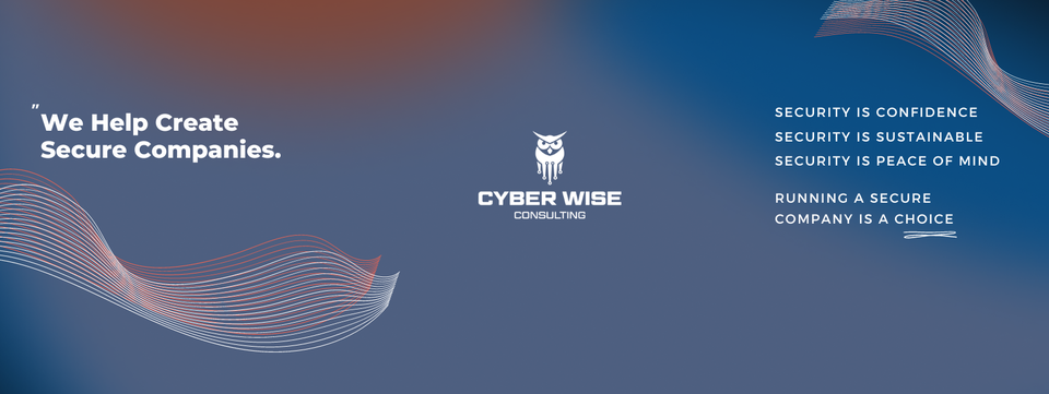 Cyber wise Consulting Cover Image