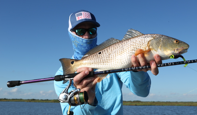 Top Florida Cobia Fishing Tips & Techniques for Success