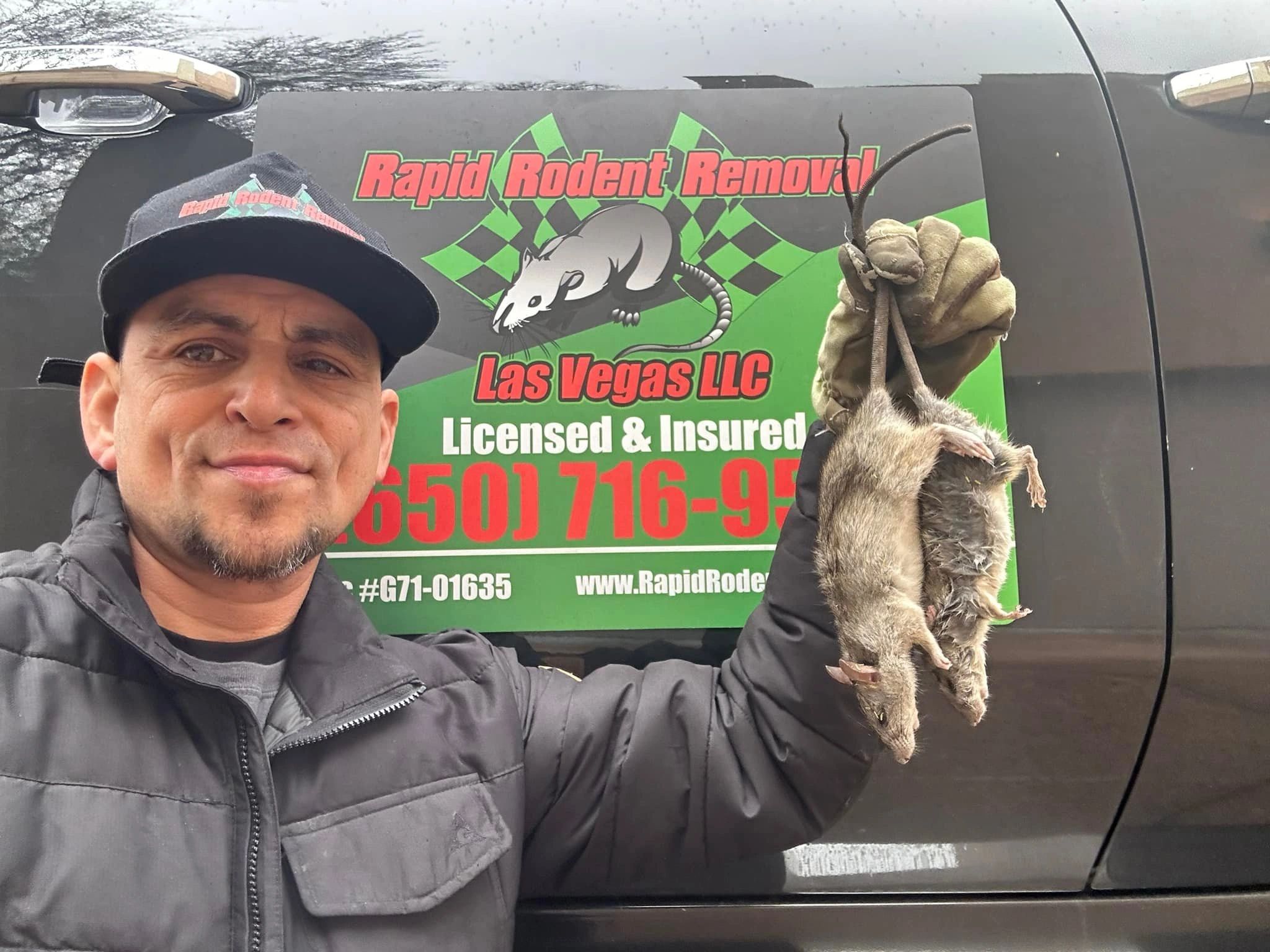 Rapid Rodent Removal - Rodent Removal