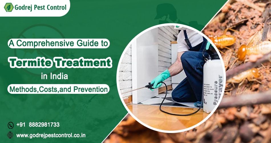 A Comprehensive Guide to Termite Treatment in India: Methods, Costs, and Prevention – Godrej Pest Control