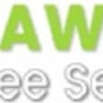 Dawson Tree Services profile picture