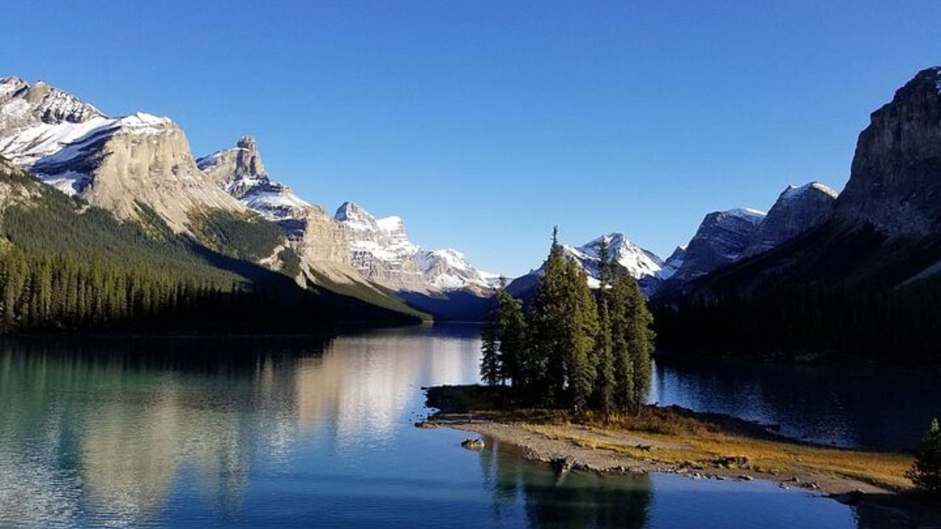 Why Lake Louise and Peyto Lake Should Be on Your Bucket List - Seoofwebsite.com