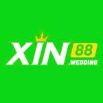 xin88wedding Profile Picture