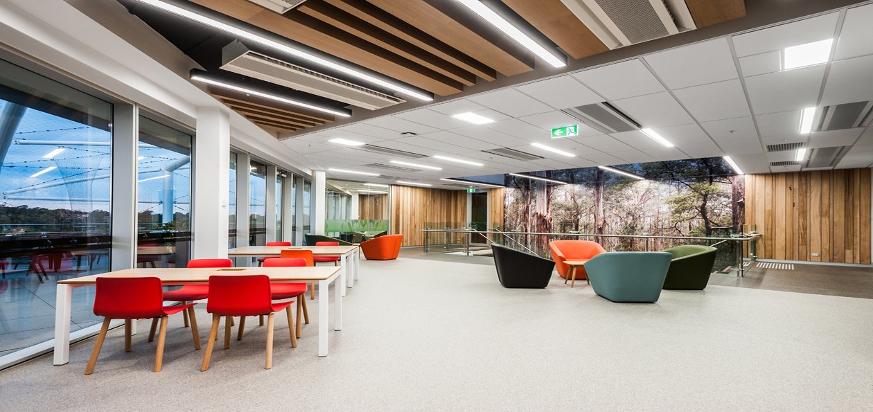 Timber Ceilings and Walls