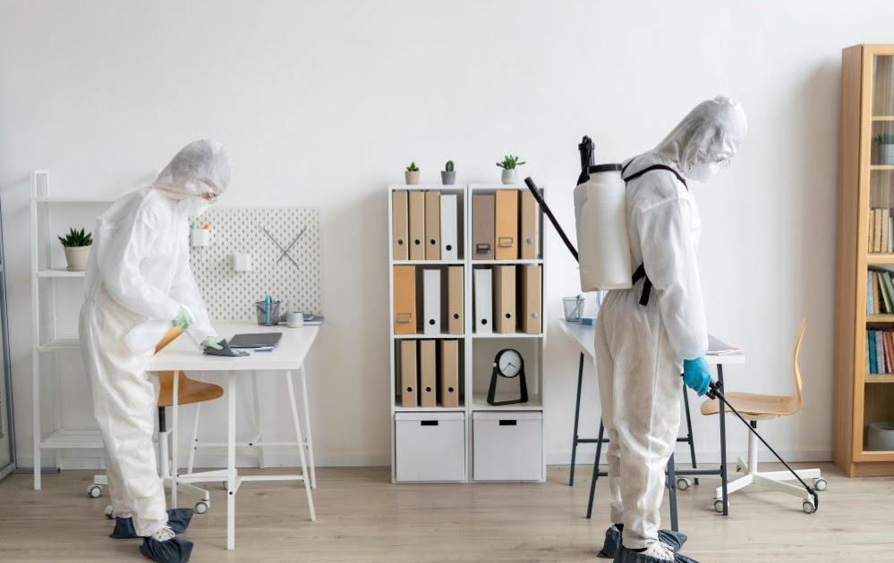 Signs You Need Residential Pest Control Services Right Away