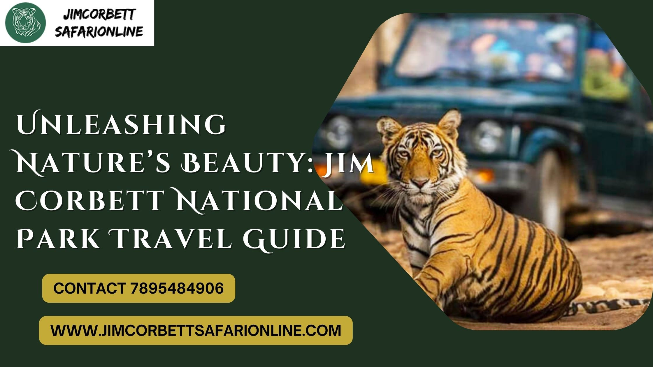 Unleashing Nature’s Beauty: Jim Corbett National Park Travel Guide