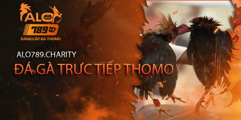 Alo789 đá gà trực tiếp Thomo Cover Image