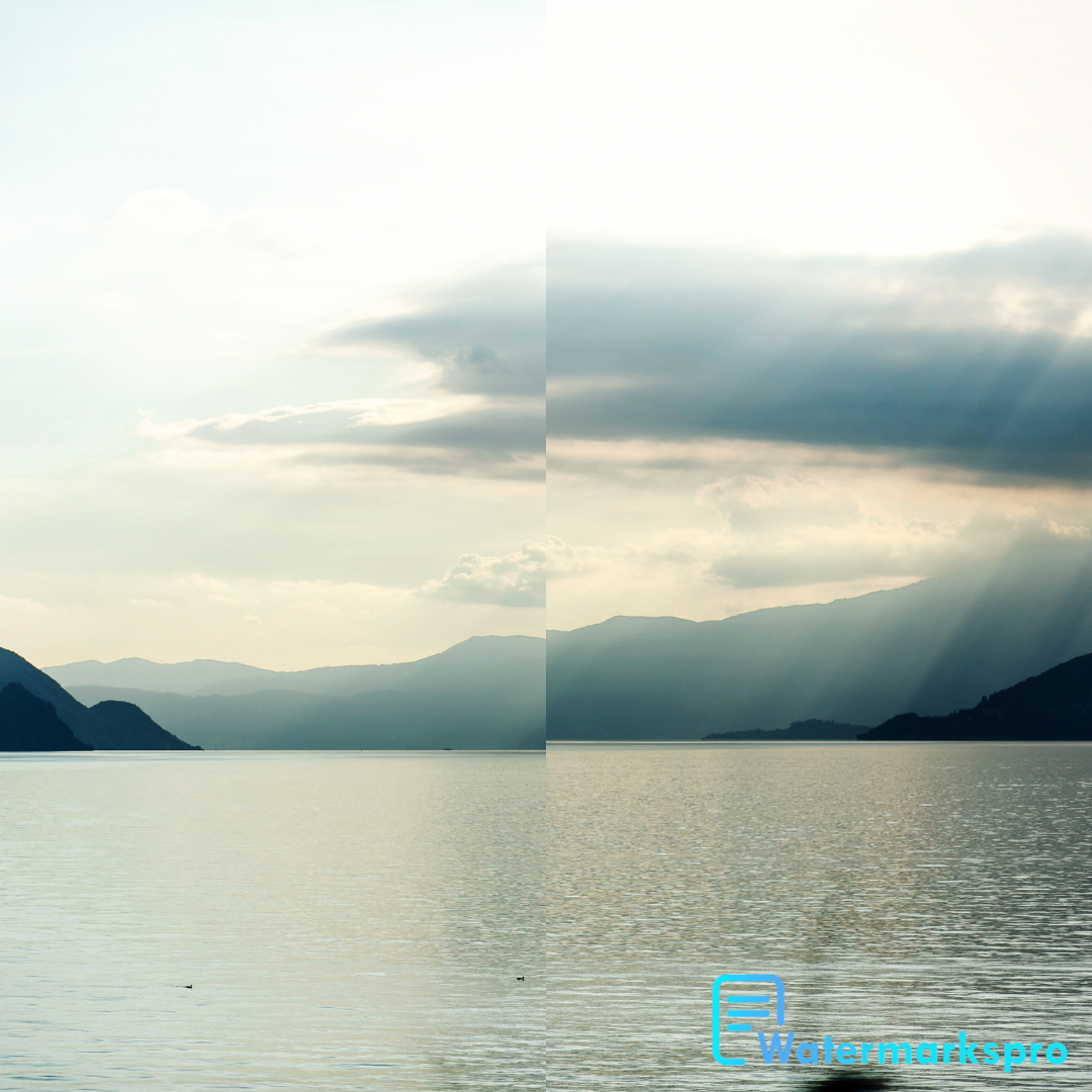 What Are the Two Types of Watermarks? - Watermarks Pro