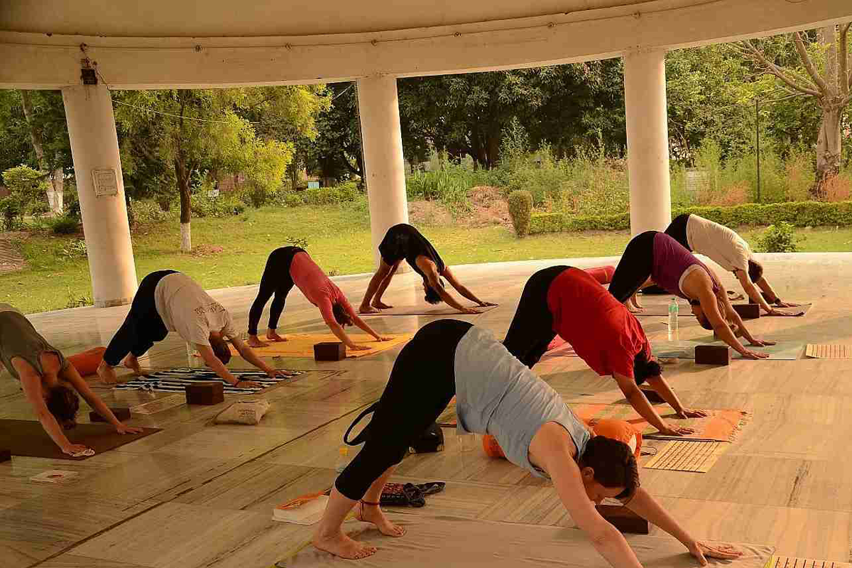 Join Our Hatha Yoga Teacher Training in Rishikesh, India