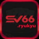 SV66 ryukyu profile picture