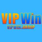 vipwin group Profile Picture