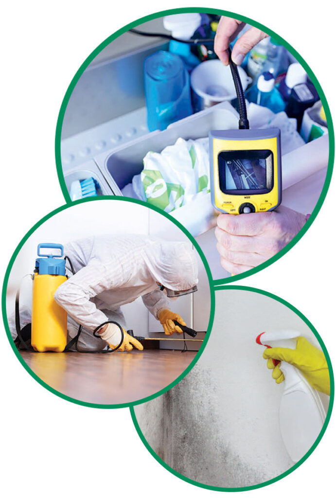 Mold Removal & Mold Inspection Services in Bensalem, PA | Mack's Mold Removal