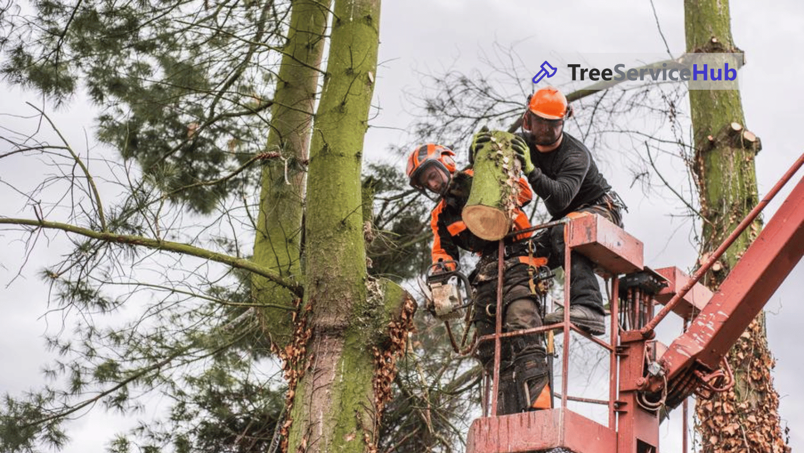 Tree Service Hub Cover Image