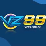 VZ99 com se profile picture