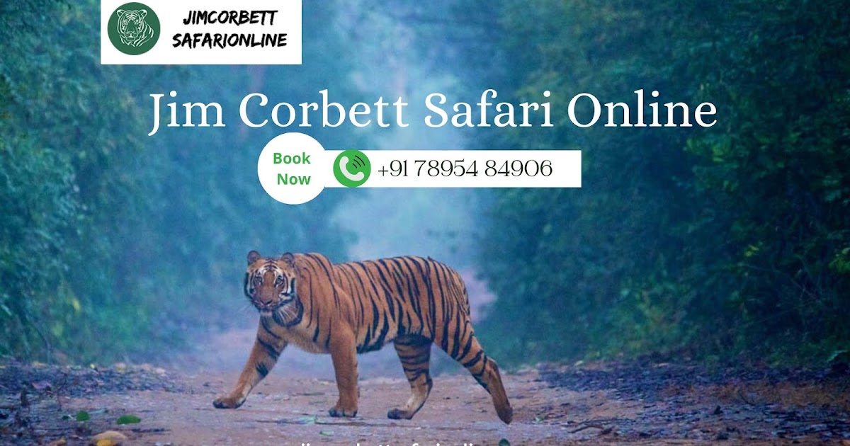 Jim Corbett Safari Online: Top 10 Reasons to Visit Jim Corbett National Park This Year