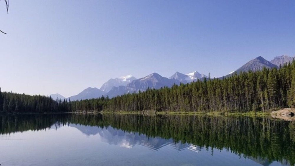 Travel Tips for an Amazing Banff Sightseeing Tour Experience | Vipon