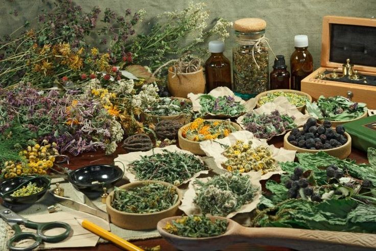 Herbal Solutions for Prolonging Intimacy: A Guide to Last Longer – Site Title