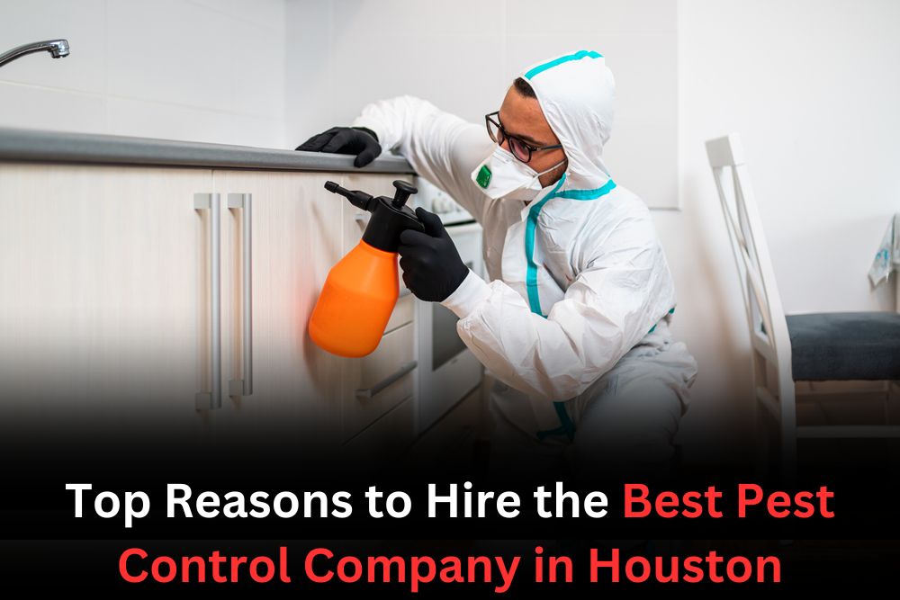 Top Reasons to Hire the Best Pest Control Company in Houston - Extreme Xterminating Pest Control