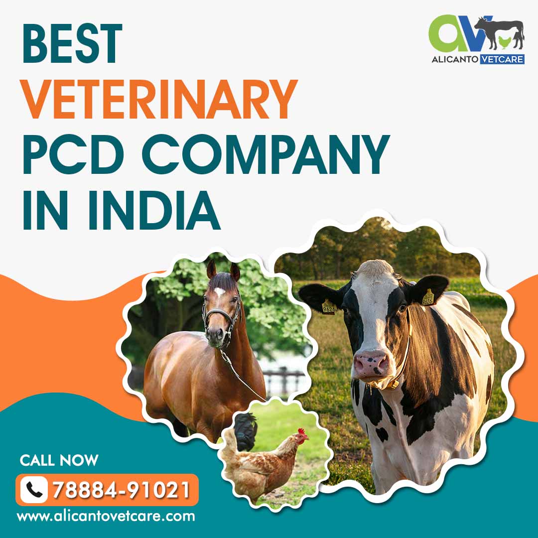 Best Veterinary PCD Company in India | Veterinary Pharma Franchise