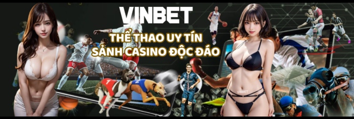 VINBET22 info Cover Image