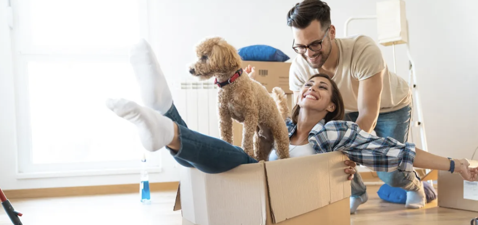 How to Move with Pets: Complete Guide for Pet Owners - Austin Moving